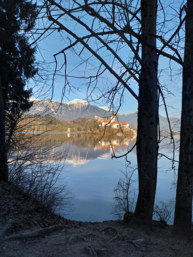 Apartment Stepanjan Bled Eksteriør billede